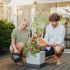 Gusta Garden TOM TOMATO Standard-Pflanzgefäß mit Produktbild-Vorschau 2
