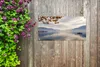 MuchoWow® 80x40 cm Outdoor-Poster Gartendeko Sichtschutz Produktbild-Vorschau 5