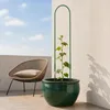 KADAX Paletto per piante 24 x 120 cm, 1 pezzo, sostegno per Anteprima dell’immagine prodotto 4