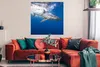 MuchoWow® Poster Hai - Meer - Wasser 100x100 cm - Produktbild-Vorschau 2