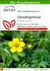 SAFLAX - Gänsefingerkraut - Potentilla anserina - 20 Samen Produktbild-Vorschau 1