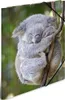 HERMA Sammelmappe A4 Glossy Koala Polypropylen Voir les images du produit 6
