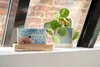 A weather station sits on a windowsill next to a potted plant, with a brick wall and window frame in the background. Náhled obrázku produktu