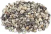 Nerita polita 1kg ca. 1-2cm Produktbild-Vorschau 1