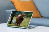 MuchoWow® Laptop Aufkleber Sticker Cover Schottischer Produktbild-Vorschau 4