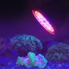 A coral reef aquarium with a grow light illuminating corals. Náhľad obrázku produktu