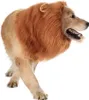A dog wearing a lion's mane costume against a white background. Produktbild-Vorschau