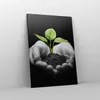 Bild auf Leinwand - Leinwandbild - Einteilig - Natur Produktbild-Vorschau 4