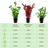 Pflanzen Set mit 3 Hintergrund Topf Aquarium Wasserpflanzen Produktbild-Vorschau 2