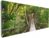 Wallario Premium Leinwandbild Hängebrücke im Urwald  grüner Produktbild-Vorschau 1