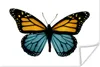 MuchoWow® Poster Blau - Schmetterling - Orange 180x120 cm - Produktbild-Vorschau 1
