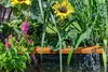 dobar Gartenteich "Maxime", pflegeleichter Hochteich inkl. Produktbild-Vorschau 4