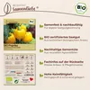 Samenliebe  Paprika Samen | Quadrato D'Asti Giallo - gelb & Produktbild-Vorschau 3