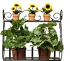 A black metal wall-mounted shelf holding three potted sunflowers on the top shelf and two potted leafy plants on the bottom shelf. Náhľad obrázku produktu