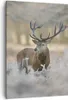 Bild auf Leinwand - Leinwandbild - Einteilig - Hirsch Wald Produktbild-Vorschau 1