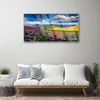 Acrylglasbilder 100x50 Wandbild Druck Wiese Blumen Natur Produktbild-Vorschau 3