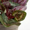 Mica Decorations Cyclamen plante artificielle dans pot de Voir les images du produit 4