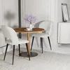Esszimmerstühle 2er Set,Schminktisch Stuhl Wohnzimmerstuhl Produktbild-Vorschau 1