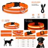 LED Hundehalsband USB aufladbar reflektierend Produktbild-Vorschau 2