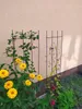 3x Rankgitter 150 cm - Rankhilfe Garten - Staudenhalter - Produktbild-Vorschau 3