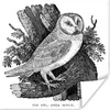 MuchoWow® Poster Naturgetreue Illustration einer Produktbild-Vorschau 1