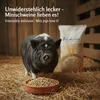 Leimüller Mangime per maialini in pellet 25 kg Anteprima dell’immagine prodotto 4
