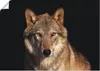 ARTland Poster Wolf Größe: 70x50 cm Produktbild-Vorschau 1