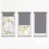 Three windows with roller blinds, each showing a different level of coverage. Produktbild-Vorschau