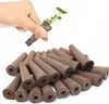 PLANT STARTING KIT INSPEKT Stecklinge 50 Stück HYDROPONIC Produktbild-Vorschau 1