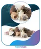 Aquarium Deko, Muscheln Naturmix 100 g Produktbild-Vorschau 5