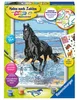 Pferd am Strand Ravensburger 28565 Produktbild-Vorschau 6