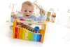 Hape Early Melodies Xylophon und Hammerspiel, E0305 Produktbild-Vorschau 14