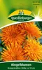 Quedlinburger Saatgut - Ringelblumen Orangestrahlen - Samen Produktbild-Vorschau 1