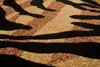A close-up view of a carpet with a tiger stripe pattern. Produktbild-Vorschau