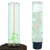 Two tomato plants are shown in protective covers with stakes. One is in soil, and the other is in a pot. Náhľad obrázku produktu