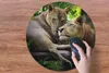 MuchoWow® Mauspad Mousepad Löwen - Baum - Gras 50x50 cm - Produktbild-Vorschau 3
