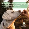 AniForte Z-Season Snack für Hunde 300g - Funktionssnack für Produktbild-Vorschau 6