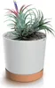 A potted plant with a blue and purple flower in a white pot with a brown base. Náhľad obrázku produktu