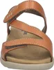 JOSEF SEIBEL Juliet 01 | Sandales pour Femmes | jaune Voir les images du produit 4