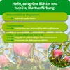 Purgrün Seidenbaum-Dünger 1 kg, Produktbild-Vorschau 3