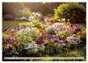 Oase im Garten (Wandkalender 2027 DIN A2 quer), CALVENDO Produktbild-Vorschau 8