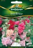 Stockrose 'Majorette' Mischung Quedlinburger Blumensamen Produktbild-Vorschau 1