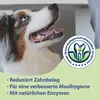 Canosept Zahnpflegespray für Hunde 100ml Produktbild-Vorschau 4
