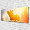 Acrylglasbilder 125x50 Wandbild Druck Sonnenblume Pflanzen Produktbild-Vorschau 2