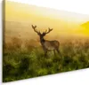 Fabelhafte Canvas LEINWAND BILDER 70x50 cm XXL Kunstdruck Produktbild-Vorschau 1