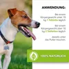Saint Nutrition® Wurm Tabletten – Wurmmittel Hund – Produktbild-Vorschau 5
