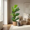 Green boutiQ - Plante d'intérieur - Ficus lyre - Vert - Peu Voir les images du produit 3