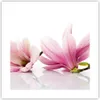 Poster - Poster ohne Rahmen - Magnolie blume natur pflanze Produktbild-Vorschau 1