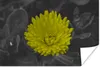 MuchoWow® Poster Blumen - Aquarell - Löwenzahn 120x80 cm - Produktbild-Vorschau 1