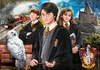 Clementoni, De Magische Wereld van Harry Potter, 1000 Productafbeelding-voorbeeld 6